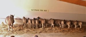 55 HPr FERDI CH 120.1501.5856.6 von Armin Auf der Maur Brunnen Foto Reto Betschart